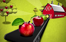 Agriculture and Agri-Food Canada