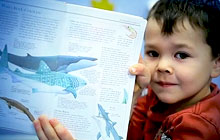 Canadian Child Care Federation