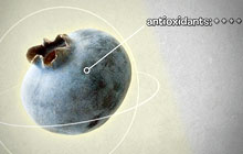 AGRICULTURE AND AGRI-FOOD CANADA - Blueberries