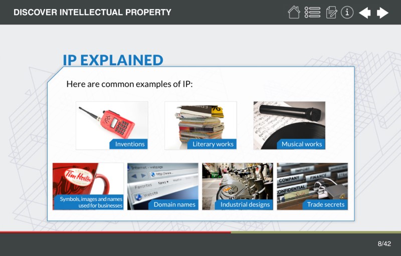 Discover IP image