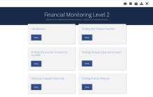 Financial Monitoring - Level 2