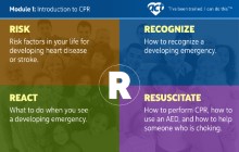 Advanced Coronary Treatment (ACT) Foundation - CPR for Students